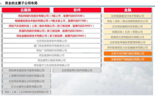 30年的积累，就等这刻爆发——软件服务的变革与机遇